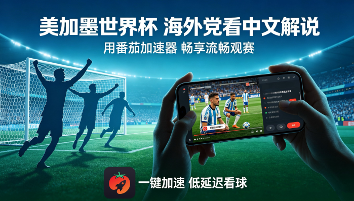 在澳大利亚看世界杯直播当前IP受限制教程